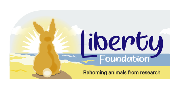 Liberty Foundation Australia
